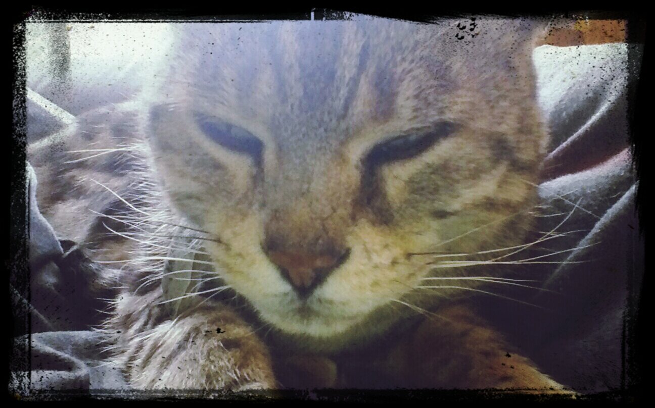 1JLS1Justin892's profile picture. 