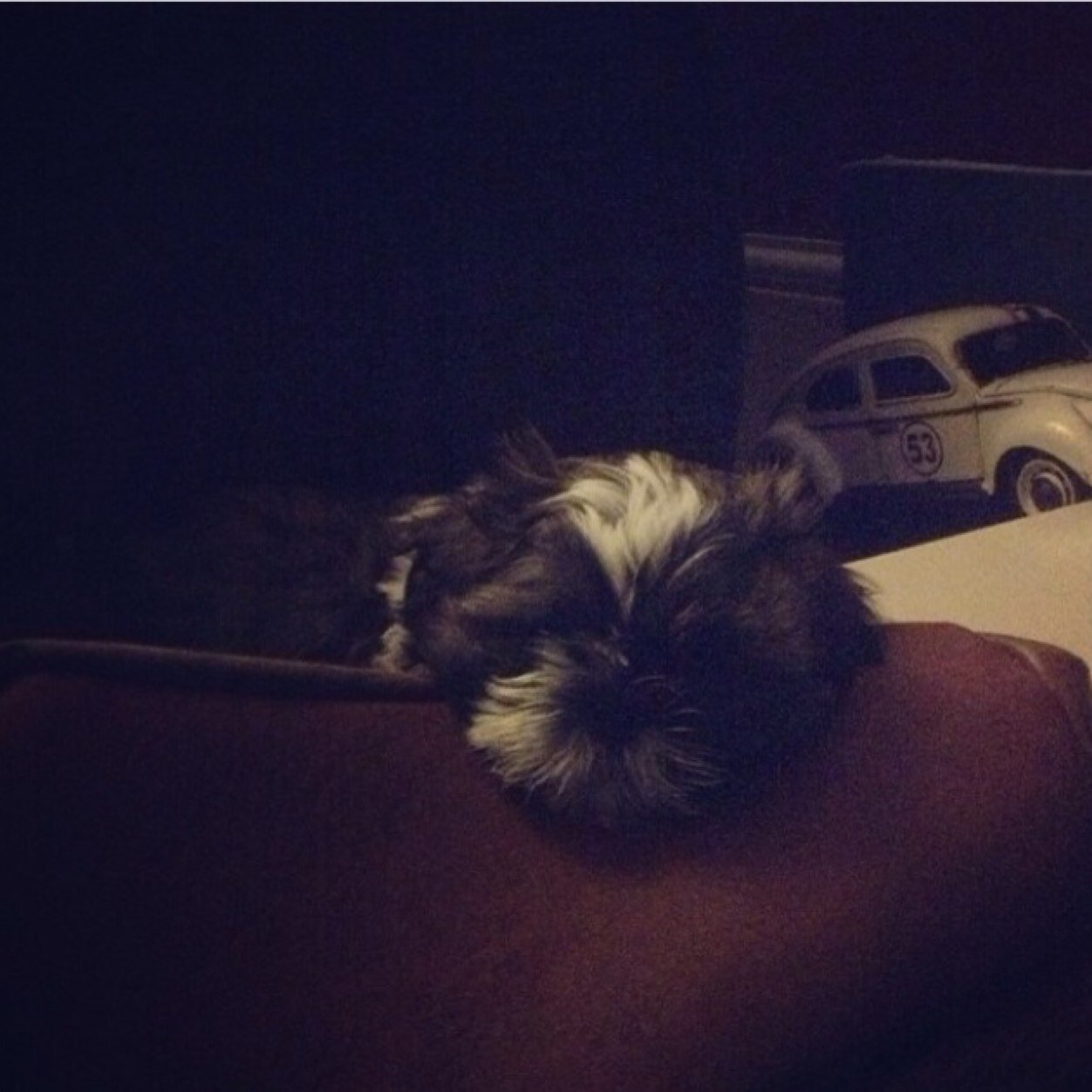 claude_harrison's profile picture. Wilmslow Cheshire