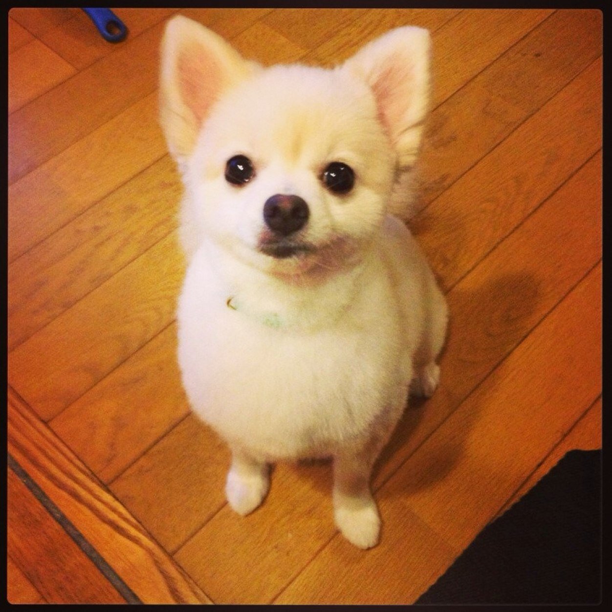 cream8625's profile picture. 