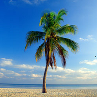 CancellationHolidays (@cancellationhol) 's Twitter Profile