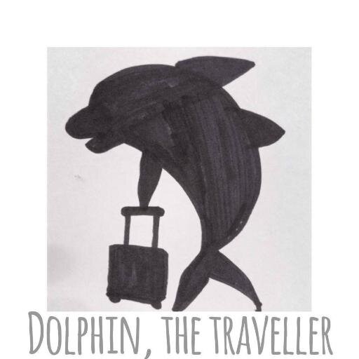 Travel with dolphin to eat delicious food *nom nom nom* #teamfollowback