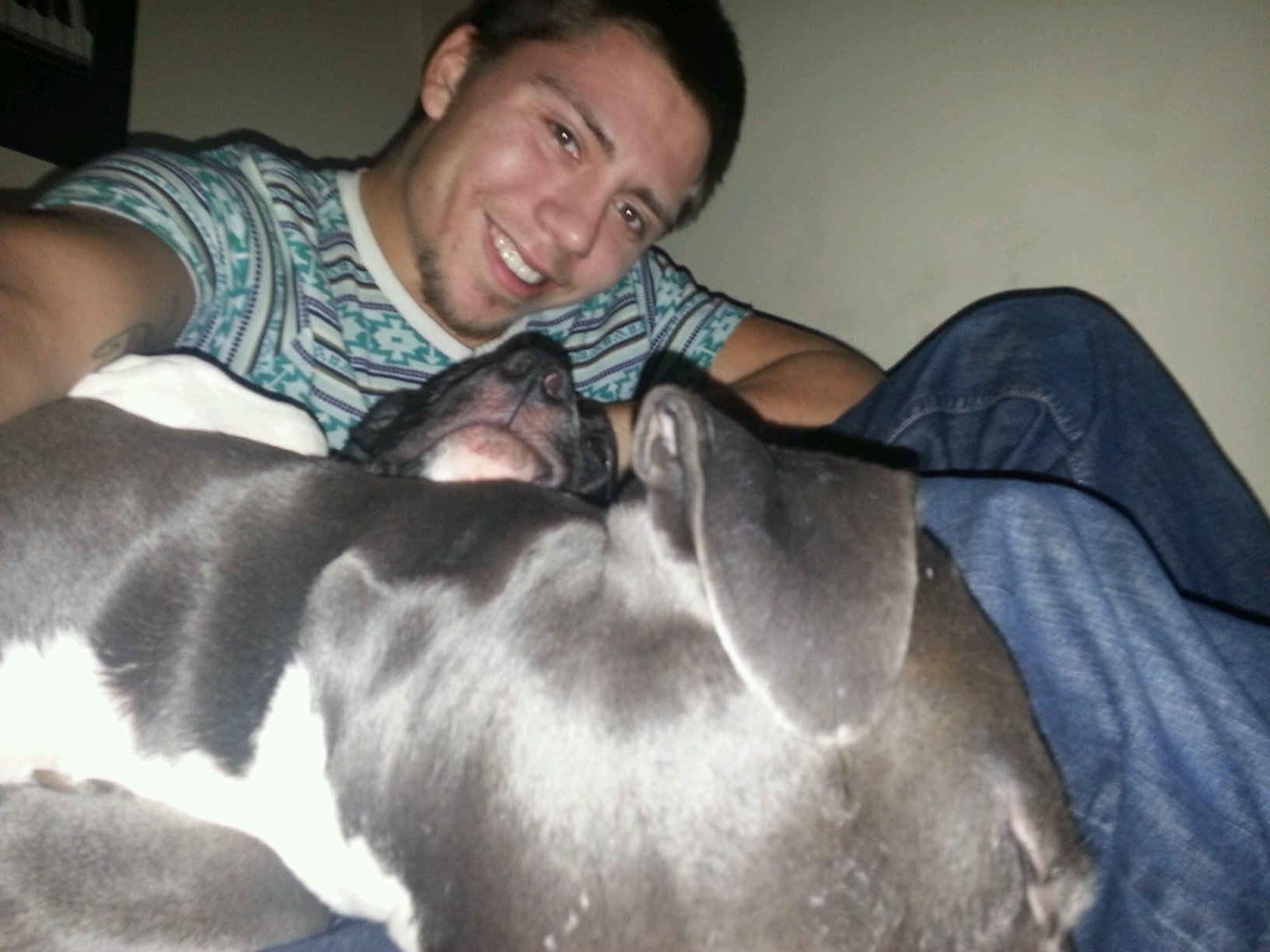pitbulls are f**king awesome. that and my gf