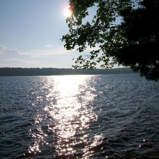 Hopper569's profile picture. 