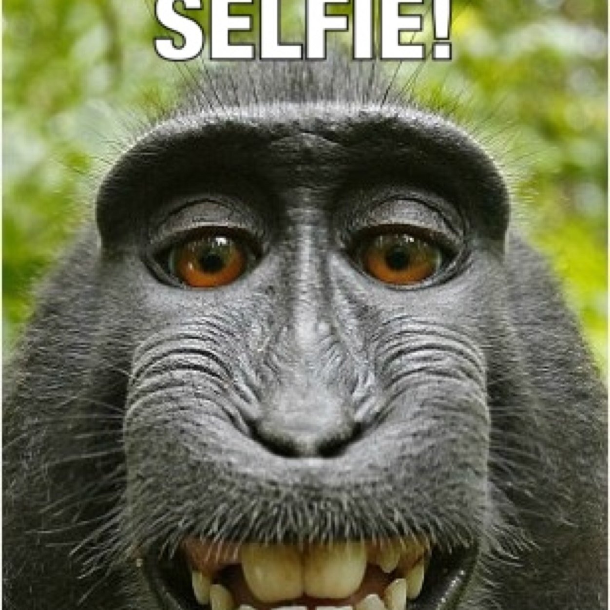 michaellua2's profile picture. 