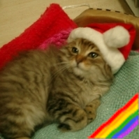 ターフama即ブロの達人! (@ama80000996) 's Twitter Profile Photo ターフama即ブロの達人! (@ama80000996) 's Twitter Profile Photo