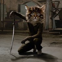 myresawyjug's profile picture. Как дурь его на обморок похожа!