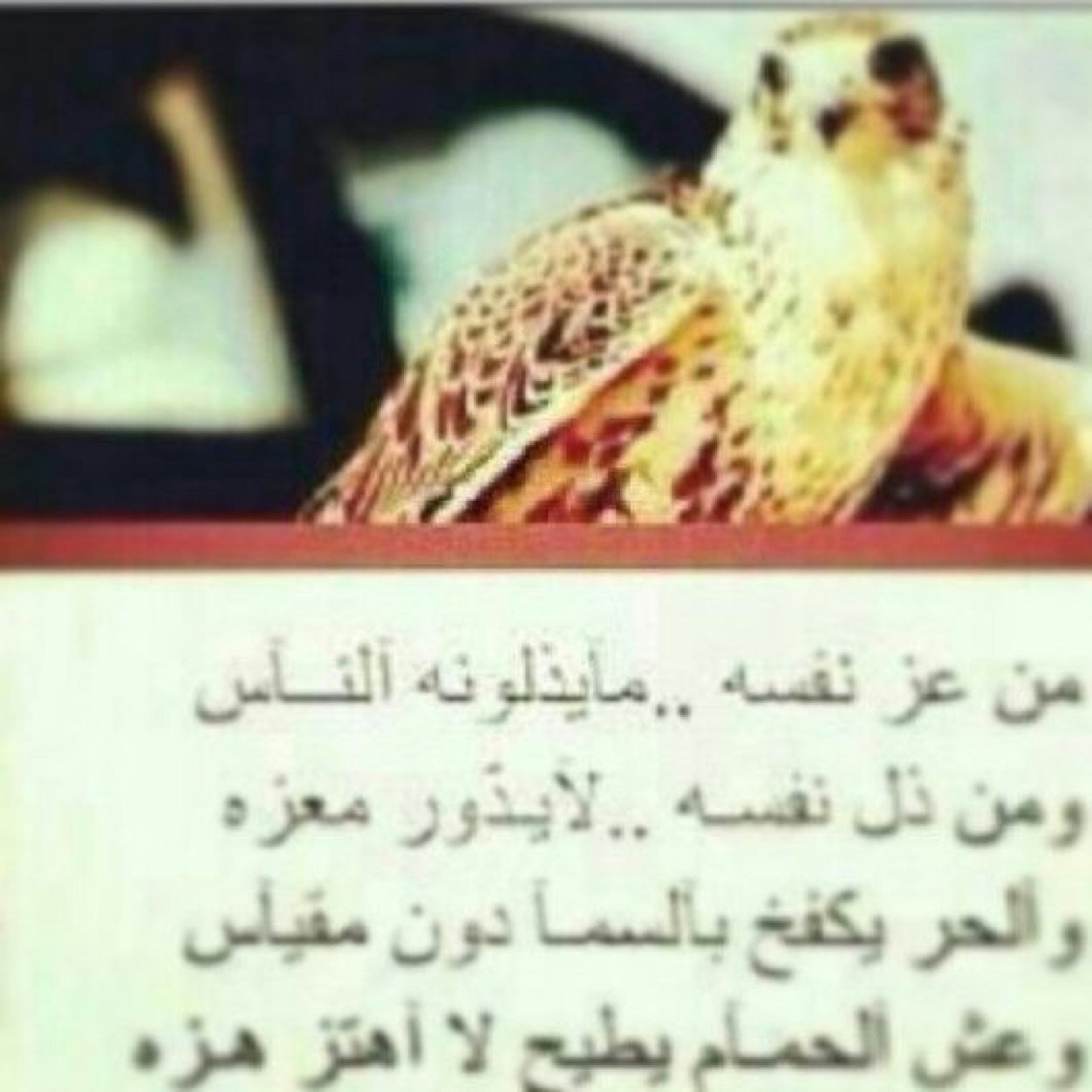سبحان الله الحمدلله لاإله إلا الله الله كبر