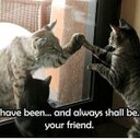 Cynthia Talbot - @1halfvulcan - Twitter