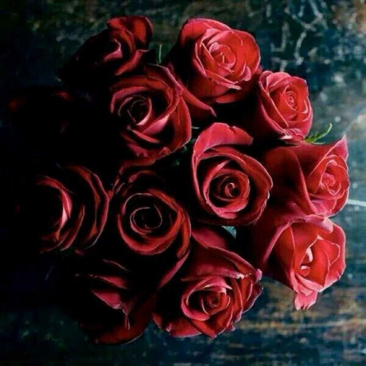 faaas1000's profile picture. استشاريه قياس اداء ماستر ٦ سيجما الحزام الاسود ممارس محترف في المؤشرات اخصائيه خدمات صحيه اخصائيه جودة طالبه ماجستير اداره مستشفيات البورد الاسترالي CKPPIكاتبه