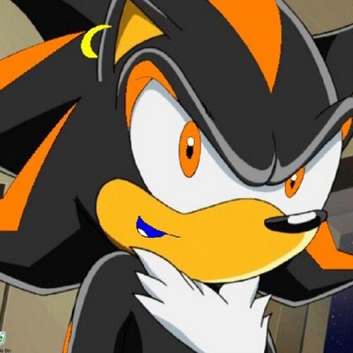 Hi my names shadow jr nice to meet you my great grandfather shadow doesn't go easy on me when it comes to fighting ... Part is team #DarkJr