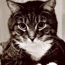 Mario Cortés - @MarioMayo355 - Twitter