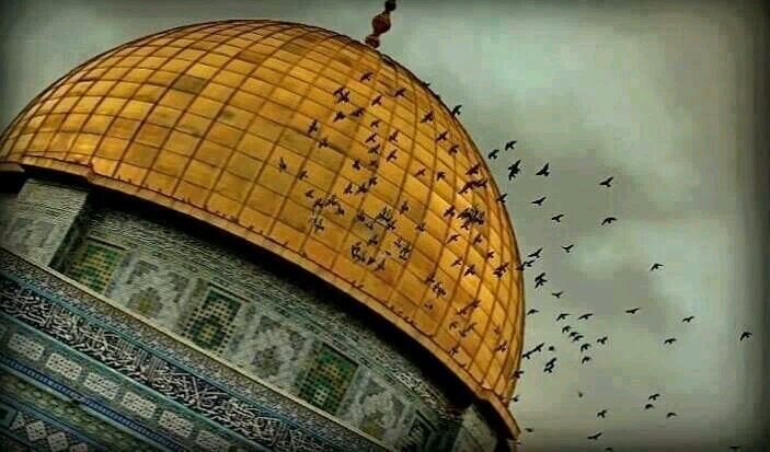 ‏طالبة في جامعة الأقصى غزة/فلسطين ,أدرس علم نفس وأسأل الله لي الهداية والتوفيق. دعواتكم