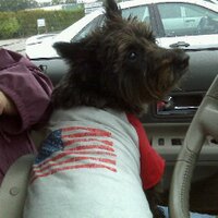 Lynda Terry (@sydpoo1943) 's Twitter Profile