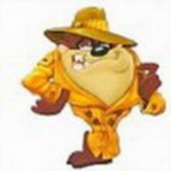Веб- и графический дизайнер, верстальщик, javascript-программист, product manager, студент арх. факультета