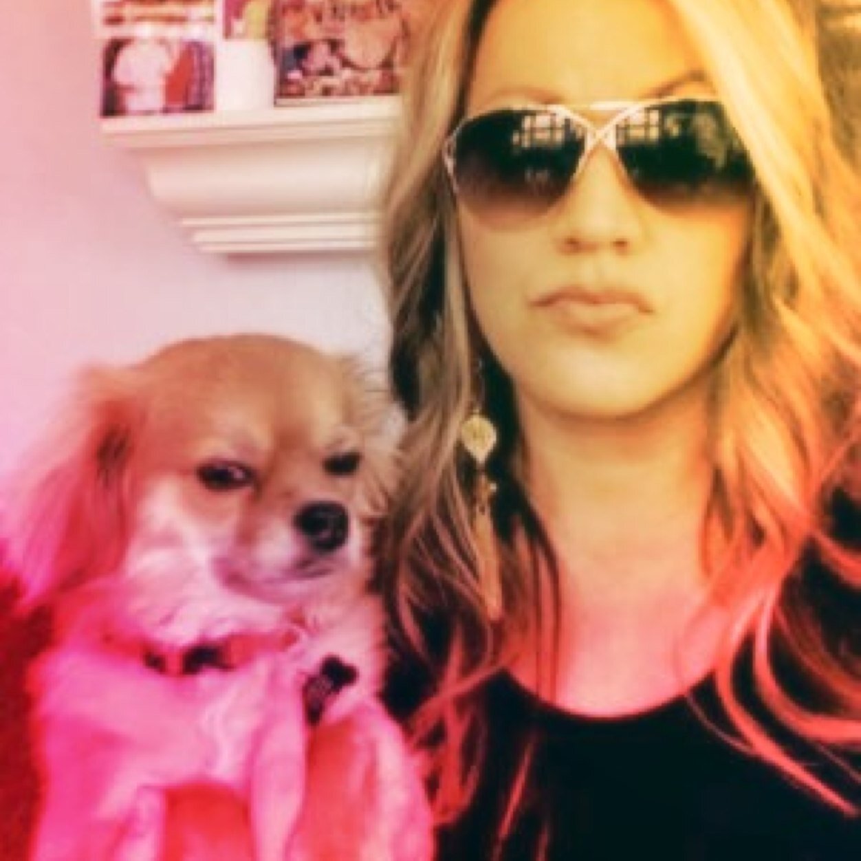 Government teacher. Precinct Committeewoman. Concerned Constituent. Maxwellaphile. My dog is cooler than I am.