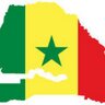 SeydiMoussarek's profile picture. Cinéaste, Monteur RTS SENEGAL