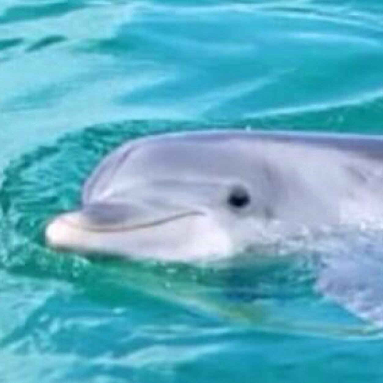 Iris Rose on Twitter "WAKEDAFUCKUP"