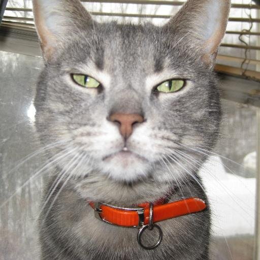 grammabradley's profile picture. 