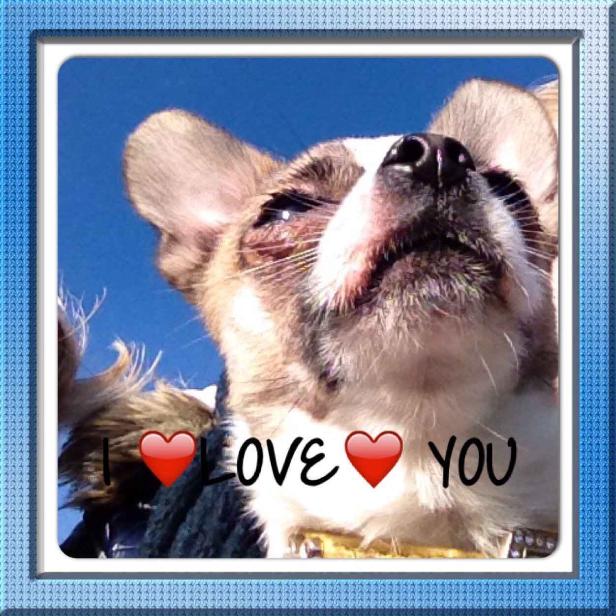 JilladS's profile picture. 