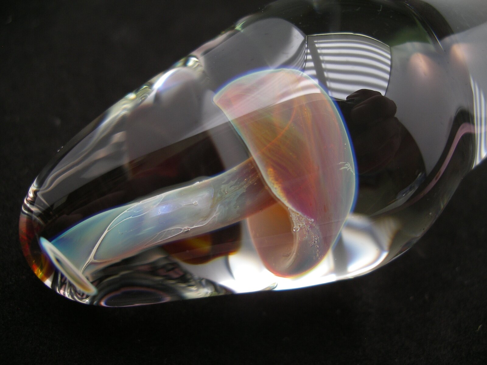 Glass Artist, Etsy seller. Toll booth operator and the brain surgery survivor!  And I run a lot.