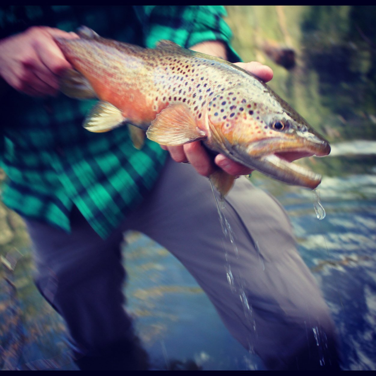 AZWanderings's profile picture. Fishing, Hunting, and Roaming around the Southwest