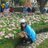 cristel04's profile image