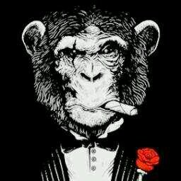 Página para los principiantes al mundo del Poker TH/NL, como aprender a jugar al poker, estratégia, conceptos, anécdotas y mucho más.