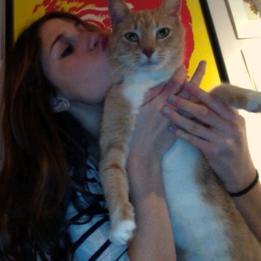 I love cats. Meow meow
