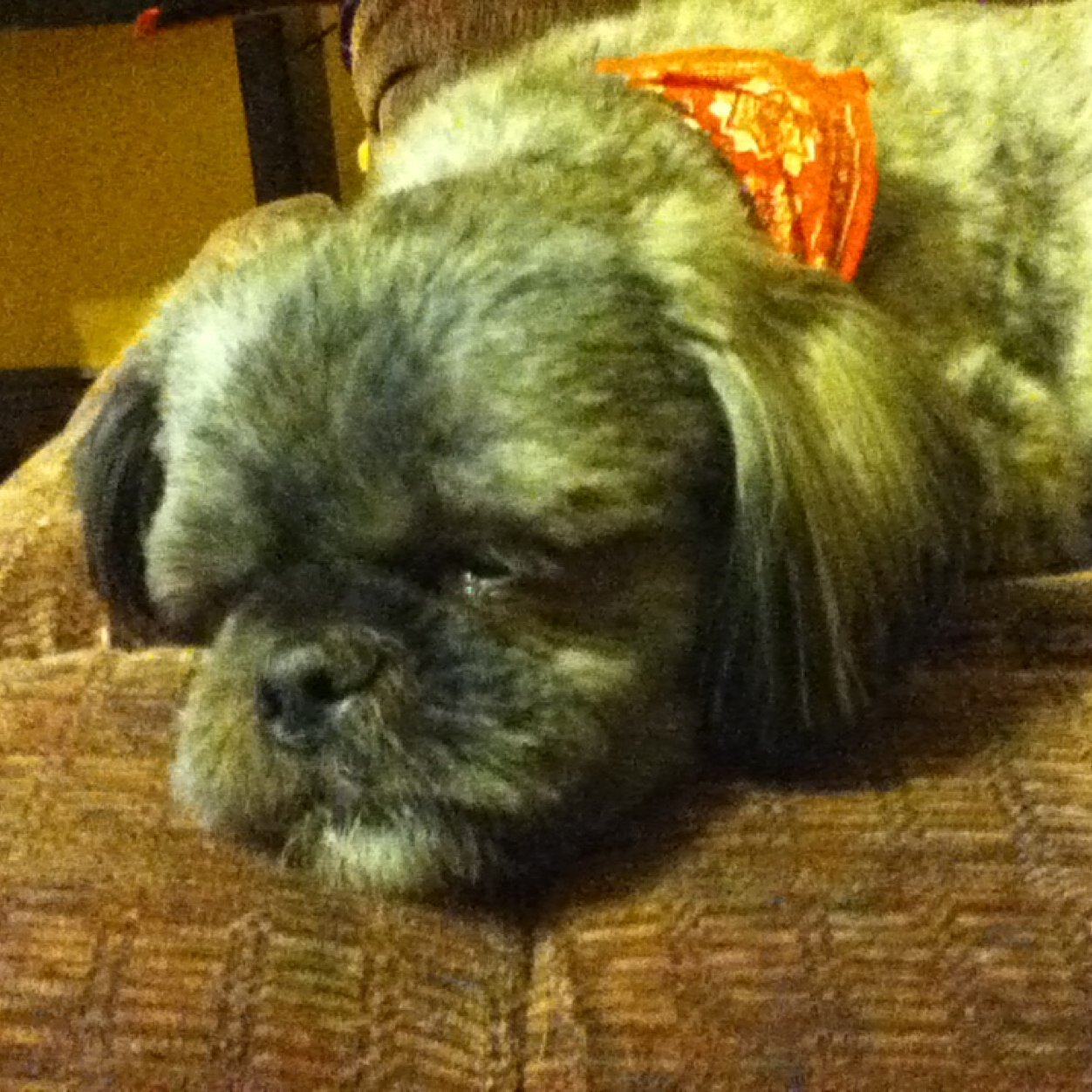 richardamy370's profile picture. 