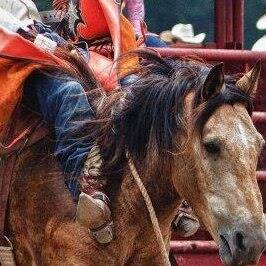 Kapuskasing Extreme Rodeo - July 26th and 27th, 2014 - Brought to you by Rawhide Rodeo Company - Northern Ontario's Biggest Professional Rodeo!