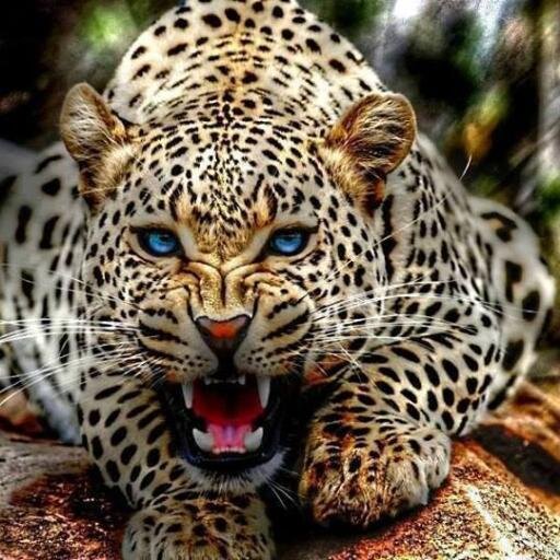 fernandhiguita's profile picture. 