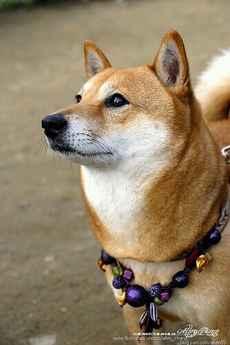 今16歳の俺。自分の将来見えない。俺もこのまま悩んで死んじゃうのかな..いやだな..何か自分変われるきっかけないかな？... @1997_1216