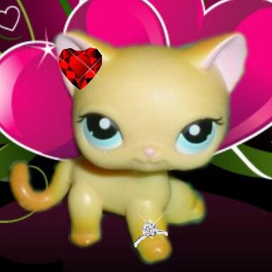hi im magesticbeauty and im single
