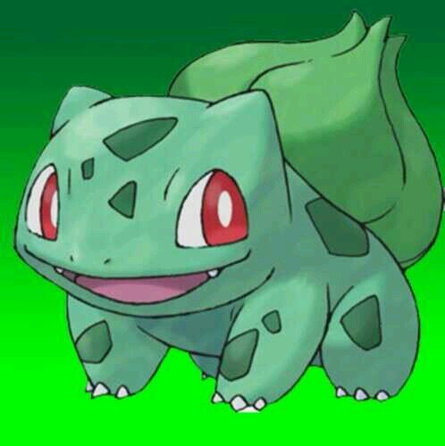 Bulbasaur567's profile picture. my trainer is @OU_Kirito. my more are razor leaf, vine whip, sleep powder, leafstorm and solar beam.