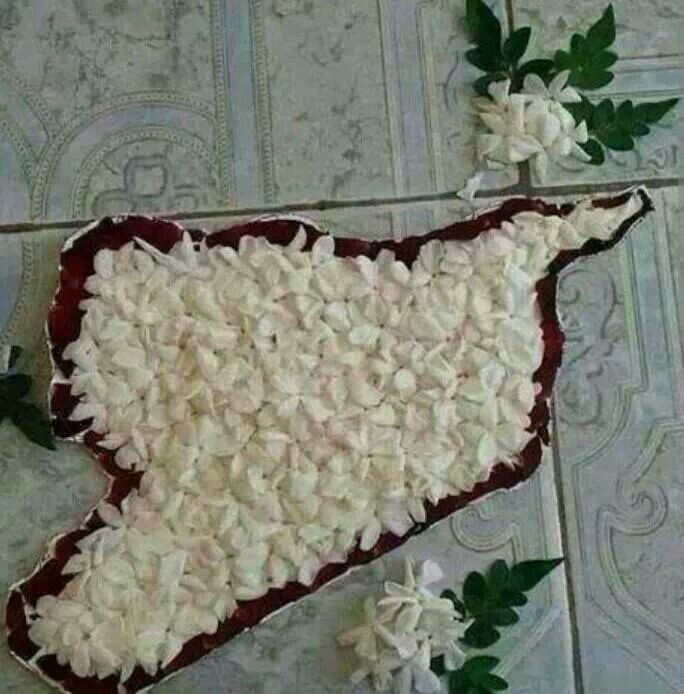 ‏‏‏بلاد العز والكرامة بلاد الجهاد والرجوله بلاد رجال الله الصالحين ......................................بلاد الشام