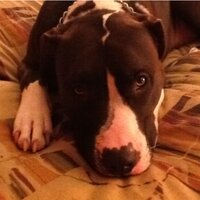 Mrs. S. Reardon (@mrssreardon) 's Twitter Profile