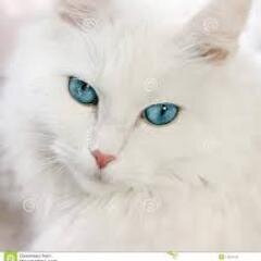 estercarter15's profile picture. 