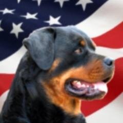 Rottie Nation Rottweiler Rescue is a 501(c)(3) Non Profit Corporation dedicated to rescuing this awesome breed. http://t.co/bKtQEYBbLu