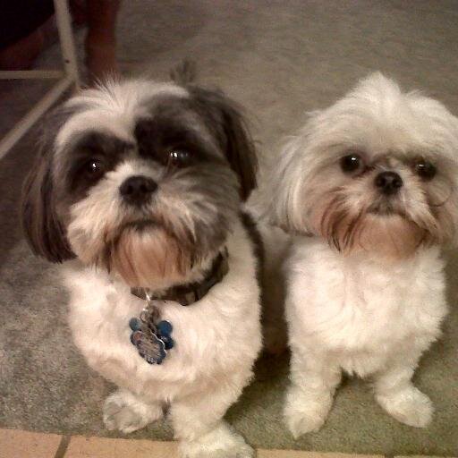 Arussell06's profile picture. Loves Long Term Care - Numbers - Golf - Family