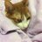 veronica_park's profile image