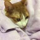 탐험보고 - @veronica_park - Twitter