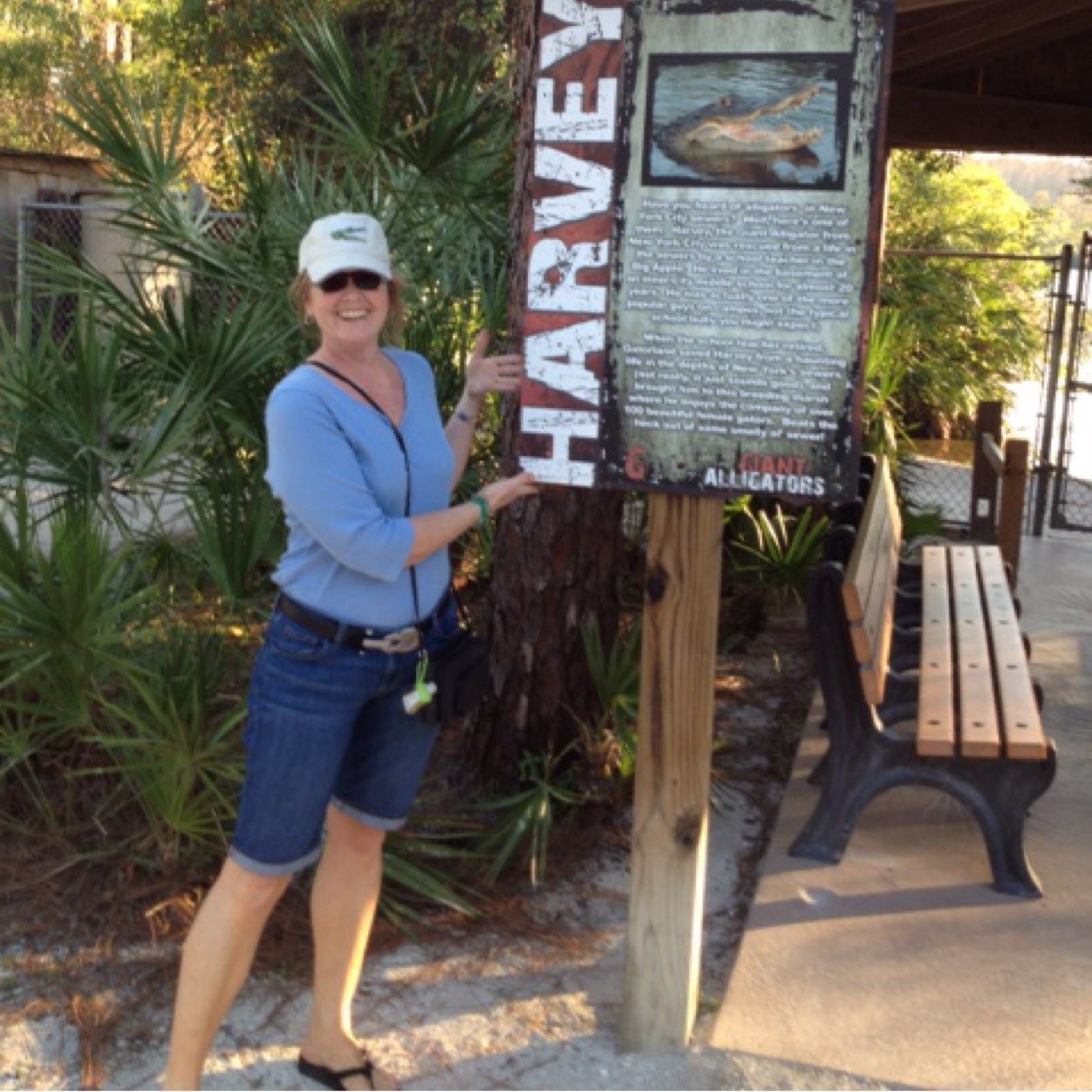 HarveyVanda's profile picture. 