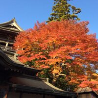 ごぼ蔵 (@fo3015n) Twitter profile photo