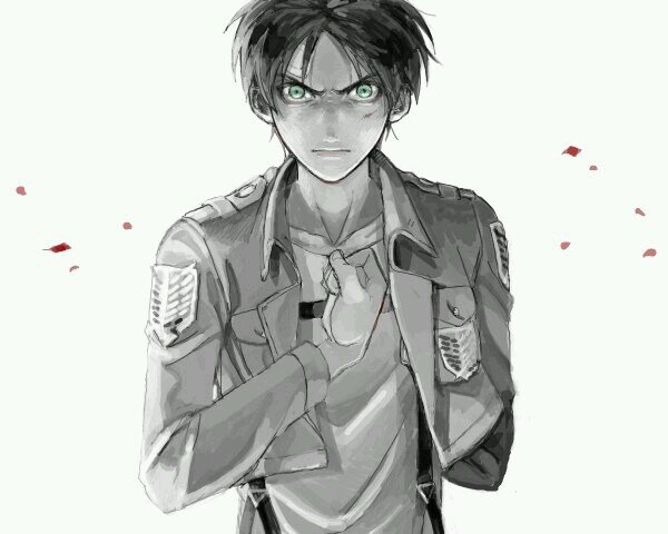 er_shingeken's profile picture. 