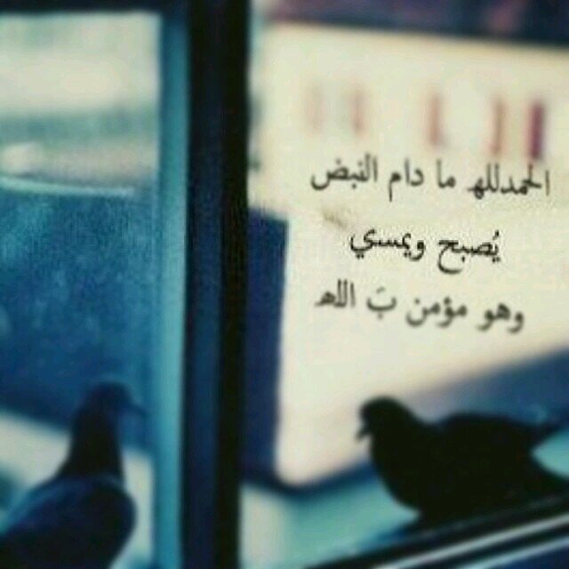 *لا اله الا انت سبحانك اني كنت من الظالمين * 
اللهم صلّ وسلم على سيدنا محمد '