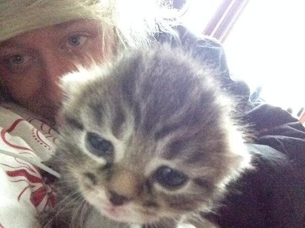 -hey free follow yay! pls follow @m0lly_asdfghjkl and @way2fab4_you though! :D