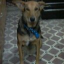 Ana Kun - @anavelez2014 - Twitter