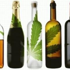 CLICK HERE---- http://t.co/6Q2dDxyoGQ