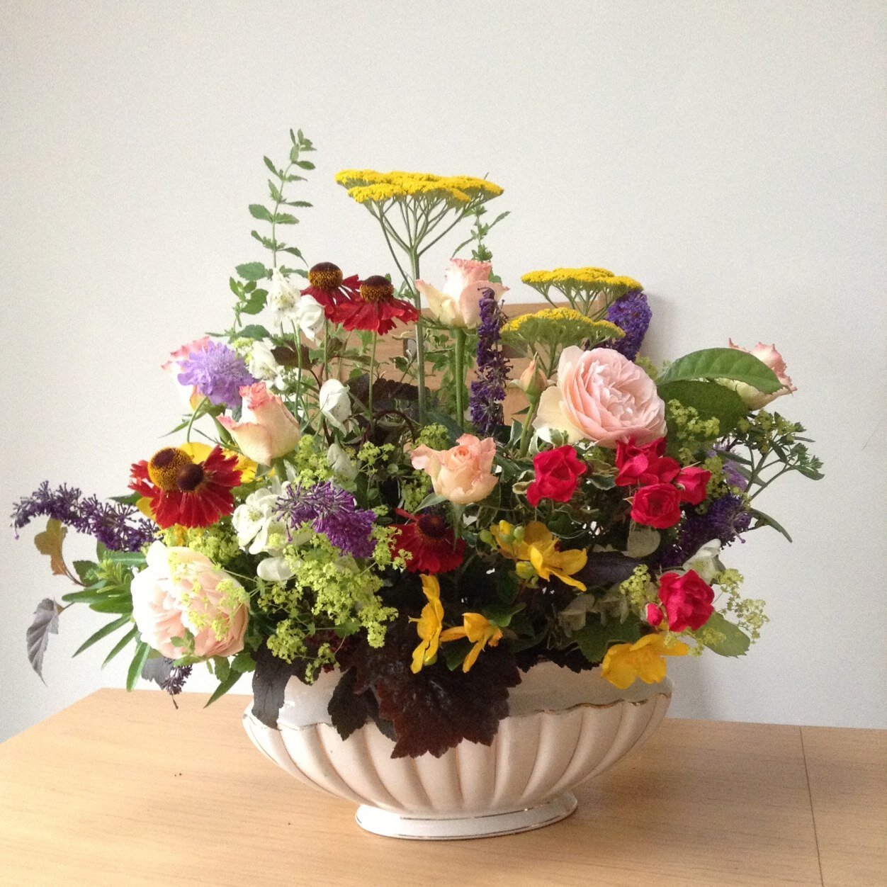 Florist,sprouting seasonal #british cut flowers - sow - blooming - gorgeous ! Dewdrop Florals