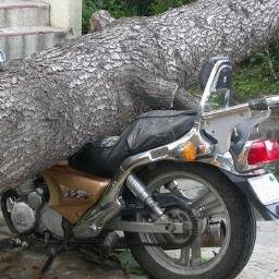 perdedor3000's profile picture. 